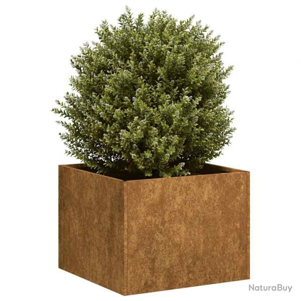 Jardinire rouill 40x40x30 cm acier inoxydable