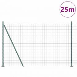 Clôture Euro avec 13 poteaux flangés 1,2 x 25 m en acier galvanisé