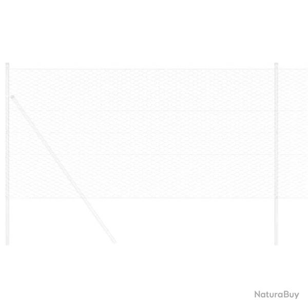Clture hexagonale Argent 5000 x 0.05 x 100 cm Acier