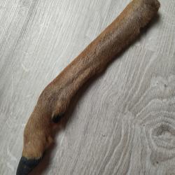 Patte de chevreuil