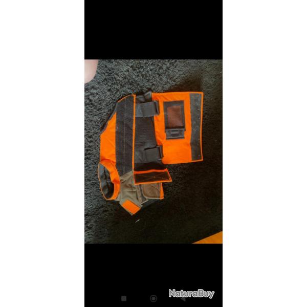 Gilet protection chien kevlar