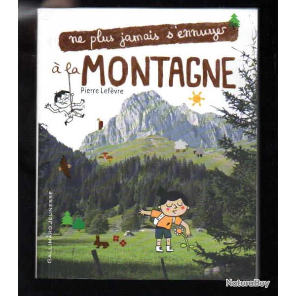 ne plus jamais s'ennuyer  la montagne de pierre lefevre