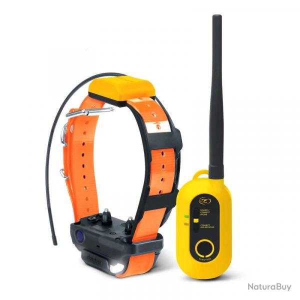 Pack ensemble complet collier Gps dogtra pathfinder 2 dressage livraison offerte !