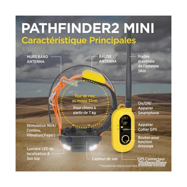 Pack ensemble complet collier Gps dogtra pathfinder 2 mini dressage livraison offerte !
