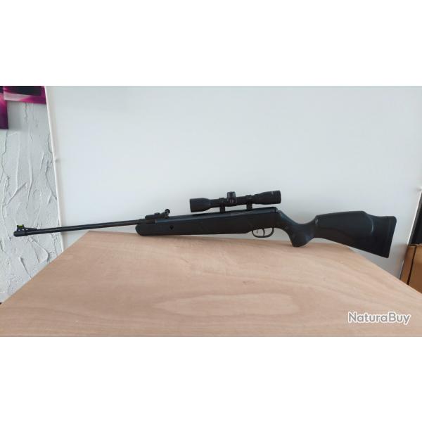 Carabine Remington express a plomb vendu avec collier + lunette center point 4X32
