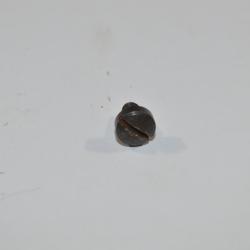 Petite vis de pontet  pour Fusil Allemand Mauser G98 Gewehr WW1 (8)