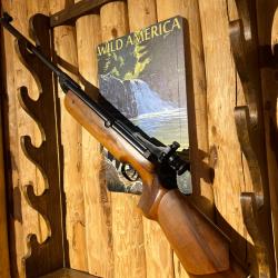 ENCHERES 1 - DIANA MOD. 60 CAL 4,5