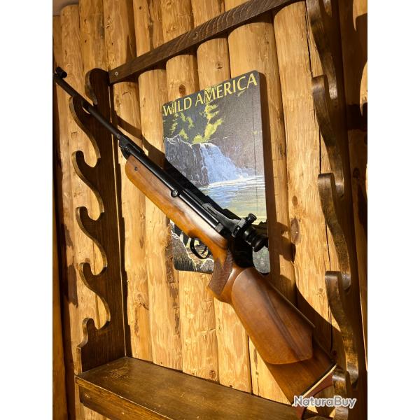 ENCHERES 1 - DIANA MOD. 60 CAL 4,5