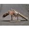 petites annonces chasse pêche : Revolver italien Bodeo, Cal. 10,4mm - 1 sans prix de réserve !!