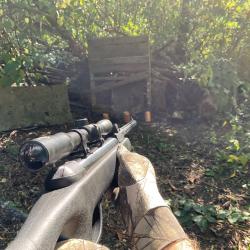 Carabine à plomb Gamo Delta Fox