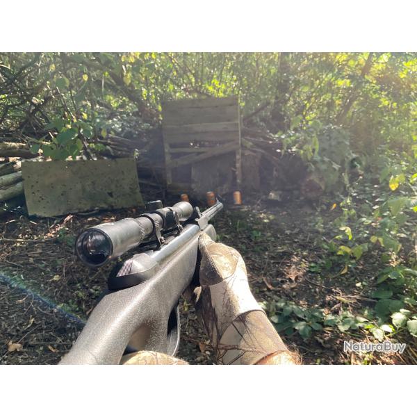 Carabine  plomb Gamo Delta Fox