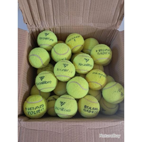 lot de 30 balles de tennis pour jouer ou pour votre chien