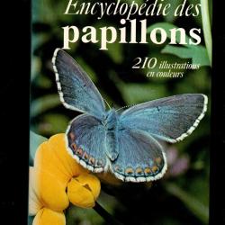 encyclopédie des papillons grund
