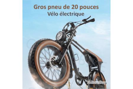 Vélo électrique gros pneu E-bike 48V 15Ah batterie adultes E VTT