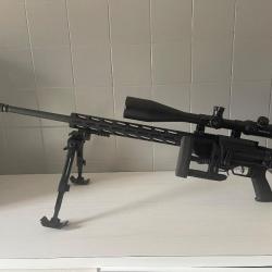 Ruger precision rifle 308