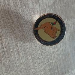 Pin s collection