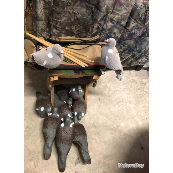 Pack chasse du pigeon