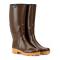 petites annonces chasse pêche : ENCHERES Bottes AIGLE Chambord Pro II ISO - Aigle A prix fou aux encheres