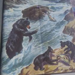 Chasseur français relié année 1964 et 1967 reliés en bon état