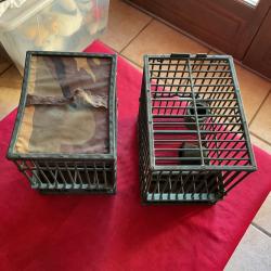 Lot de deux cages à grives ou autres, pas de prix de réserve
