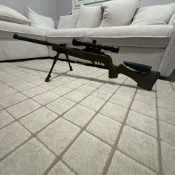 Carabine a plombs 20 joules Gamo avec bipieds et lunettes