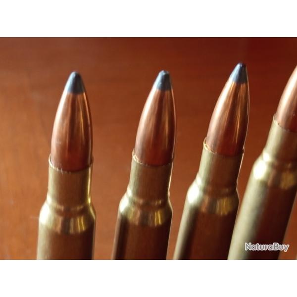 munitions calibre 348 Winchester