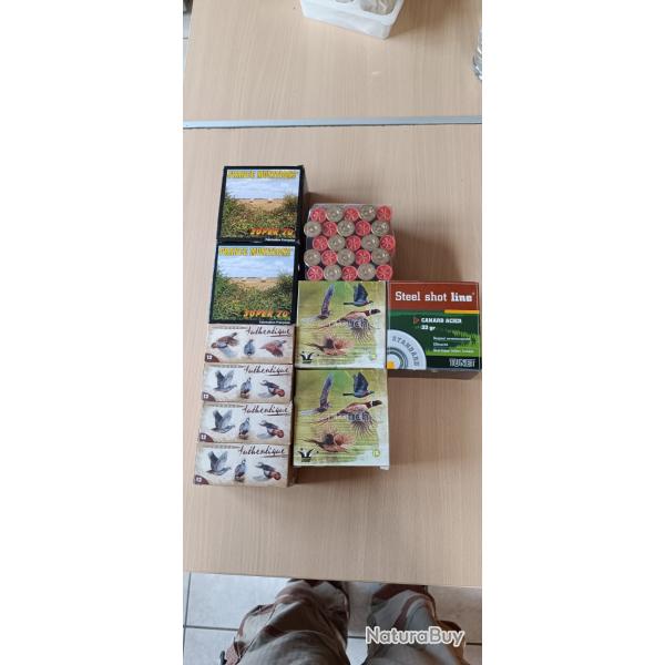 Lot de 176 cartouches en calibre 12
