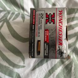 Munitions,  22 magnum