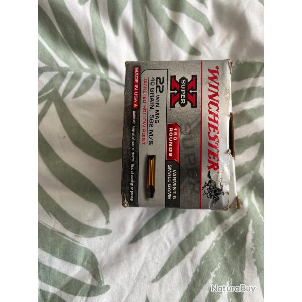 Munitions,  22 magnum