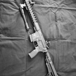AR15 Legacy Armament