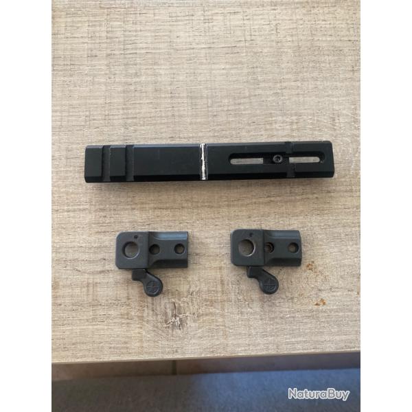 Embase Leupold + rail