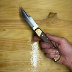 COUTEAU TYPE BUCK 110 PLIANT