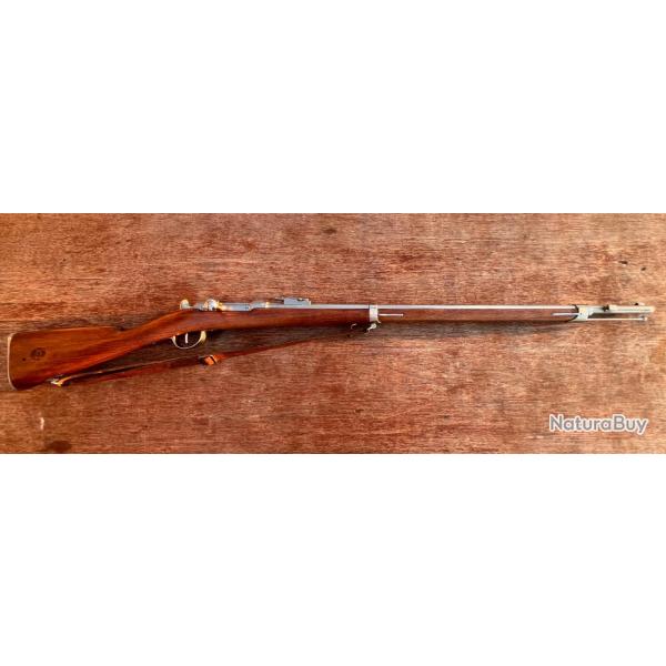 Chassepot 1866 St Etienne magnifique