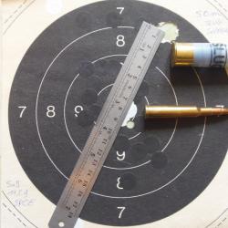 Mixte Brno modèle ZH 12/70 - 7x57R + munitions