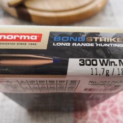 Norma BondStrike 180 grains/11,7 g