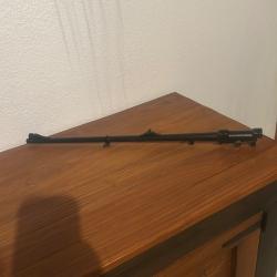 Canon blaser k95 7x65R