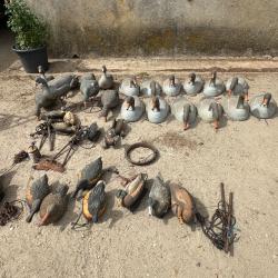 Formés oie et canard