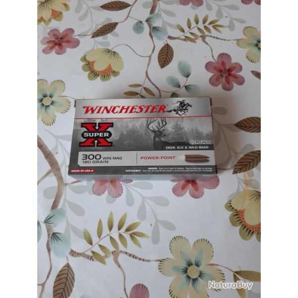 Calibre 300  Win Mag  180 Grain X Super Power -Point