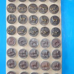 40 boutons de chasse