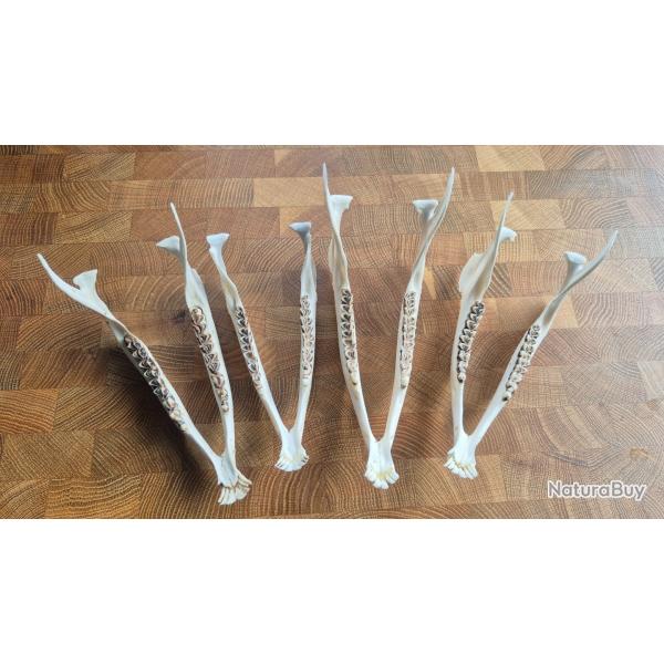 4 mchoire de brocard