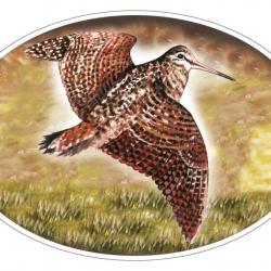 STICKER MARTIN NOUVEL BECASSE - HV DVPT