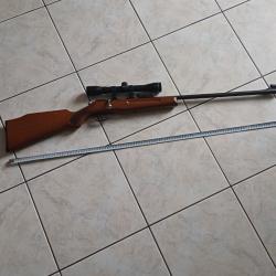Carabine Manu-Arm 22lr
