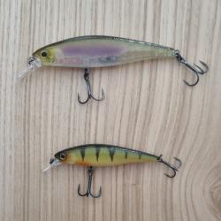 Lot squadminnow Illex