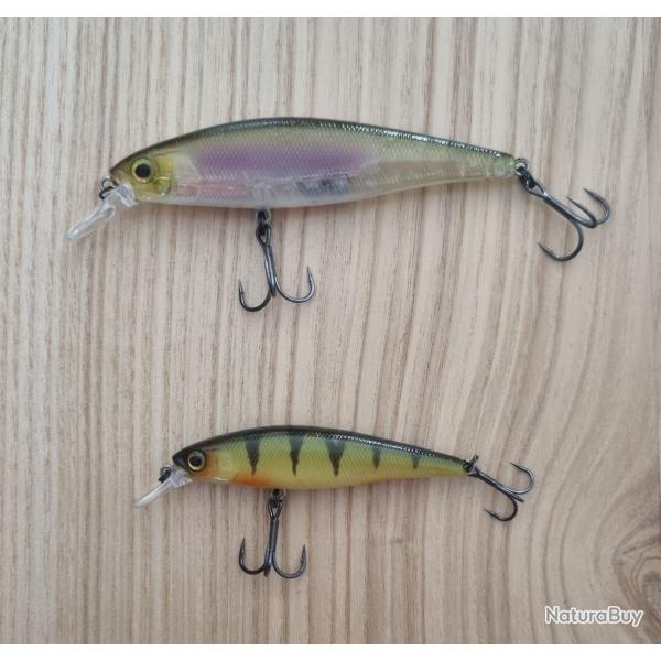 Lot squadminnow Illex