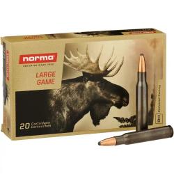 CARTOUCHE NORMA calibre 30-06 180GR ORYX SILENCER x20