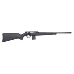 Carabine SPA silence 22LR
