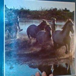 La camargue - Documentaires Alpha -