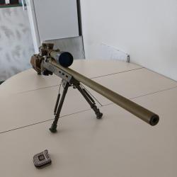 Armes de tir (TAR, TLD,etc...) - Remington 700 SPS