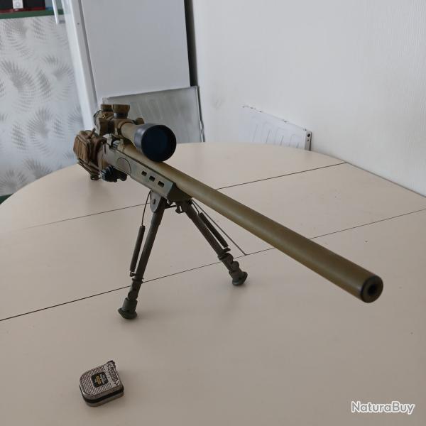 Armes de tir (TAR, TLD,etc...) - Remington 700 SPS