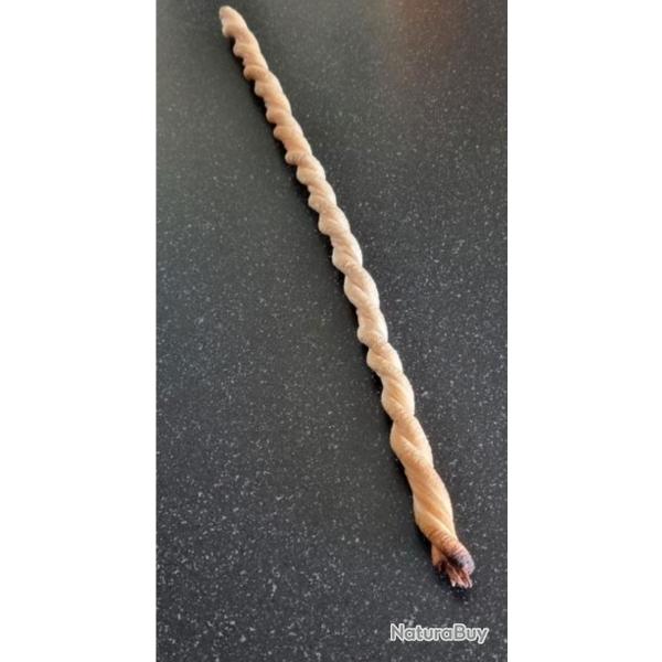 Nerf de boeuf ancien 55,00 cm